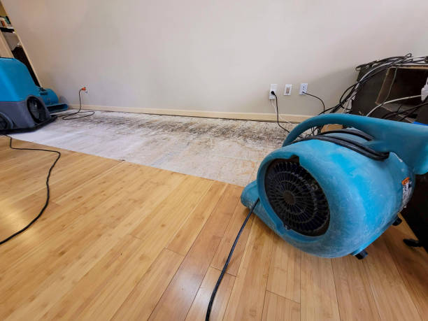 Professional Burst Pipe Water Damage technician working in Whiting, WI